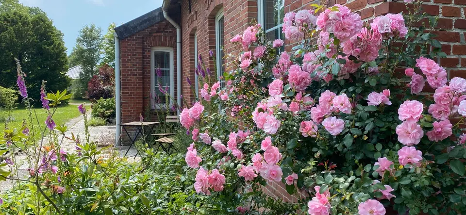 3 Zimmer Haus mit 80 m² in Delmenhorst – Bild 6