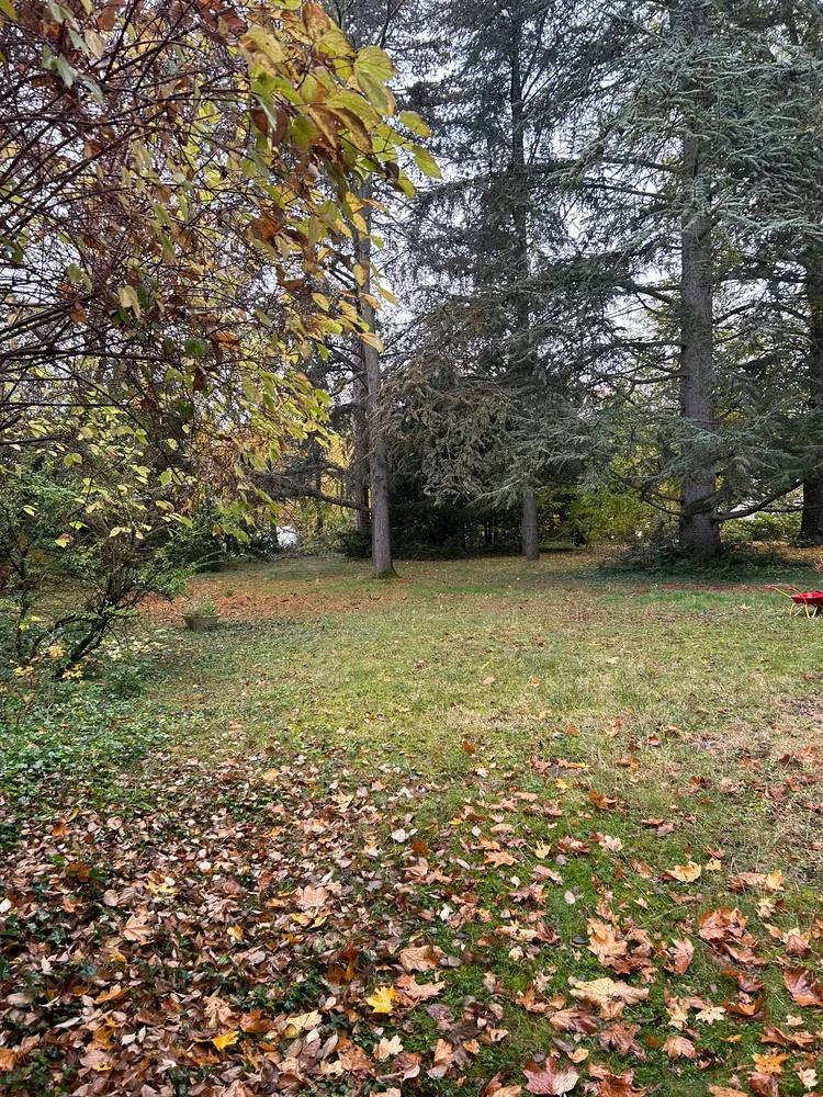 6 Zimmer Wohnung mit 200 m² in Wiesbaden – Bild 2