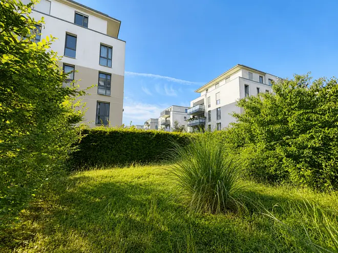 3 Zimmer Wohnung mit 89 m² in Dresden – Bild 7