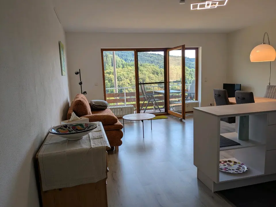 WG-Zimmer mit 50 m² in Offenburg – Bild 1