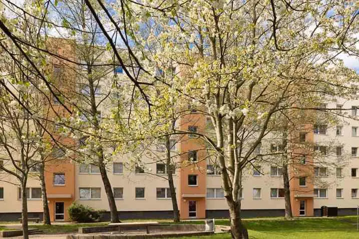 3 Zimmer Wohnung mit 64 m² in Dresden – Bild 5