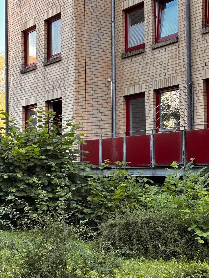 Studio mit 28 m² in Greifswald – Bild 9