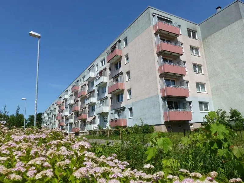 3 Zimmer Wohnung mit 56 m² in Schwerin – Bild 3