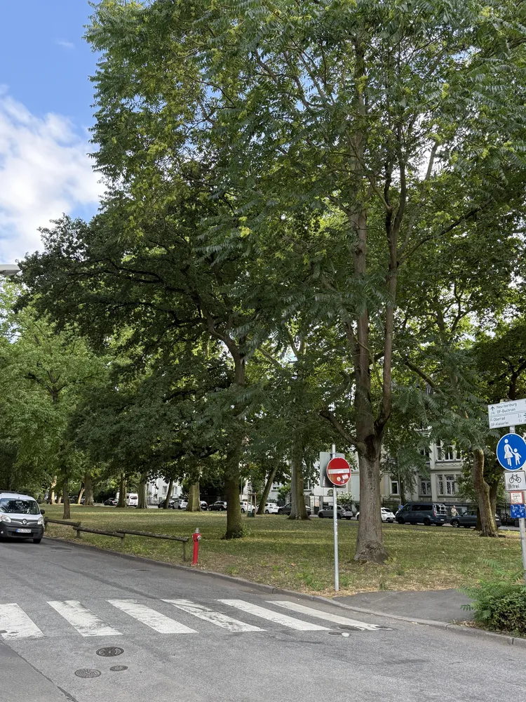 3 Zimmer Wohnung mit 60 m² in Offenbach am Main – Bild 12