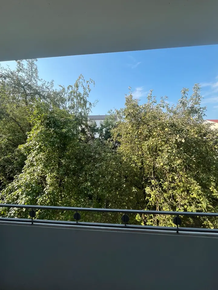 2 Zimmer Wohnung mit 32 m² in Regensburg – Bild 4