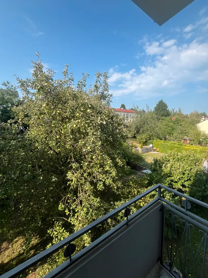 2 Zimmer Wohnung mit 32 m² in Regensburg – Bild 6