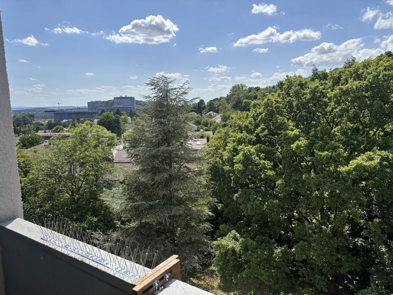 2 Zimmer Wohnung mit 49 m² in Tübingen – Bild 1