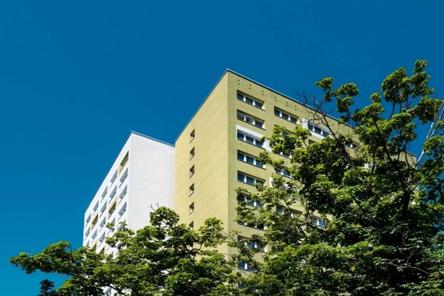 3 Zimmer Wohnung mit 67 m² in Erfurt – Bild 1