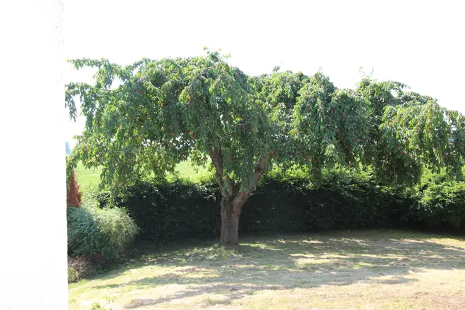 5 Zimmer Haus mit 125 m² in Rodgau – Bild 11