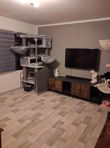 2 Zimmer Wohnung mit 53 m² in Kassel – Bild 4