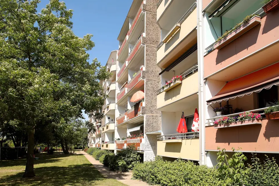 2 Zimmer Wohnung mit 49 m² in Neubrandenburg – Bild 1