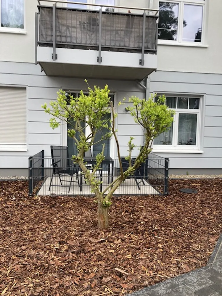 2 Zimmer Wohnung mit 66 m² in Oranienburg – Bild 6