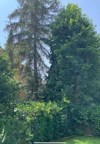 3 Zimmer Wohnung mit 88 m² in Halle (Saale) – Bild 5