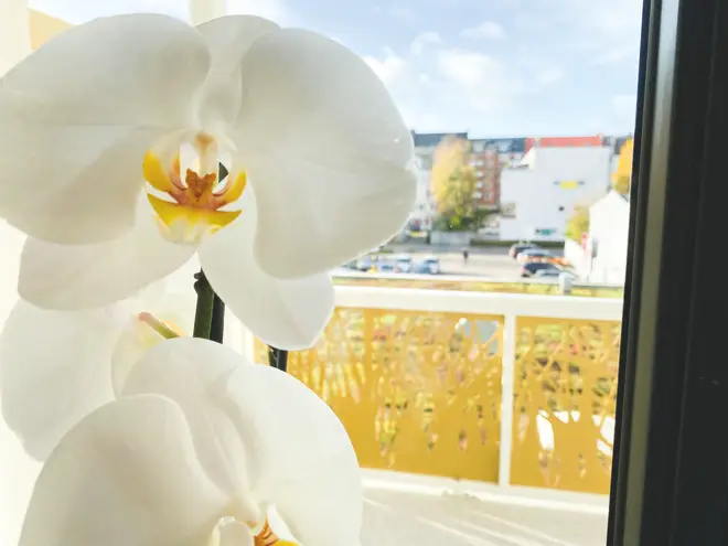 2 Zimmer Wohnung mit 98 m² in Kiel – Bild 11