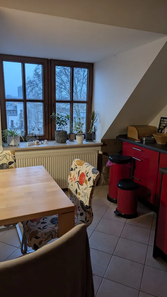 5 Zimmer Wohnung mit 165 m² in Leipzig – Bild 2