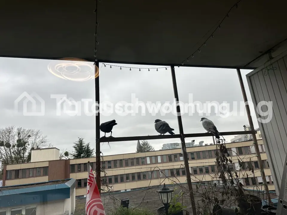 3 Zimmer Wohnung mit 75 m² in Neuss – Bild 4