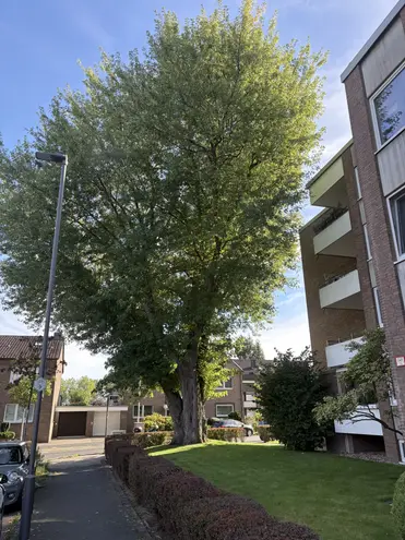 3 Zimmer Wohnung mit 91 m² in Düsseldorf – Bild 1