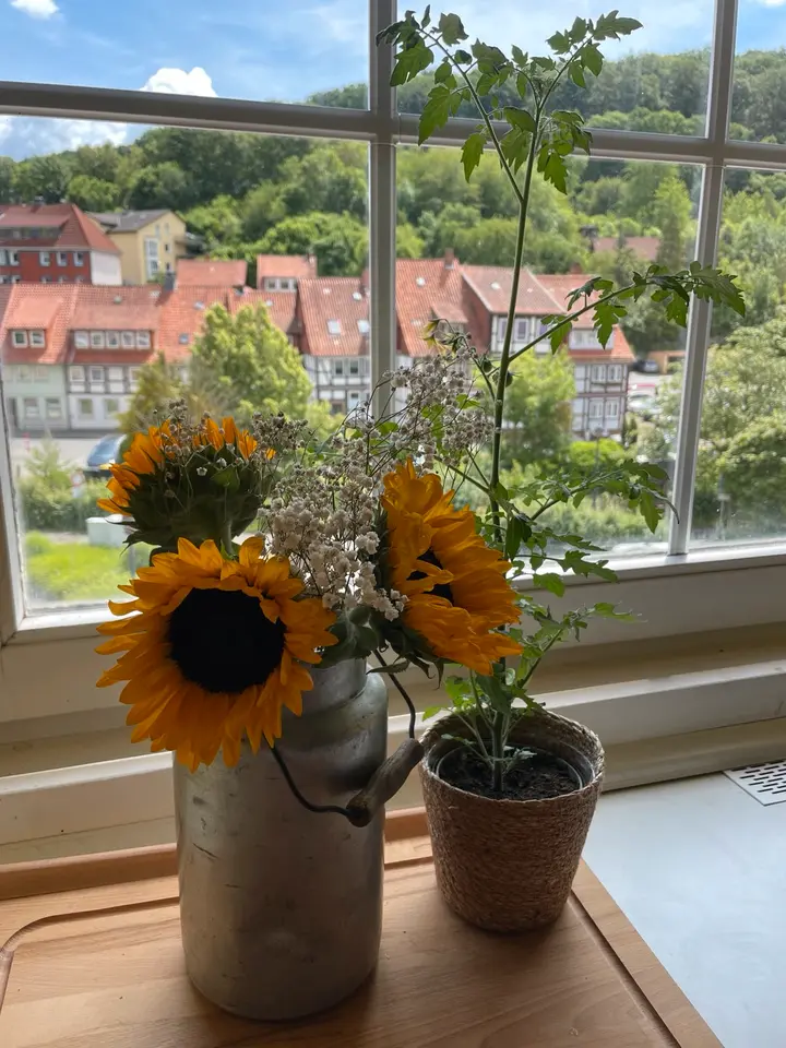 WG-Zimmer mit 120 m² in Peine – Bild 10