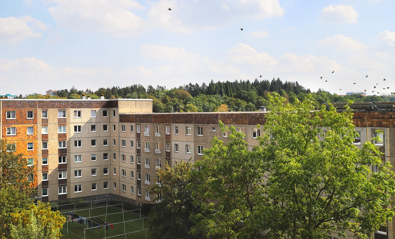 3 Zimmer Wohnung mit 60 m² in Neubrandenburg – Bild 4