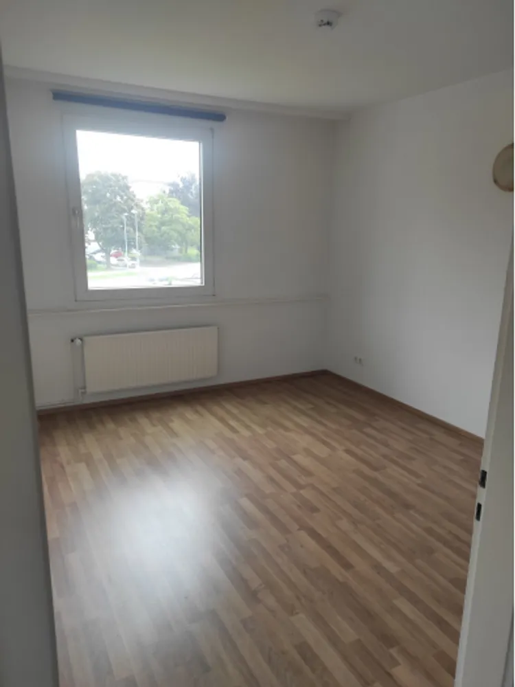 2 Zimmer Wohnung mit 52 m² in Salzgitter – Bild 2