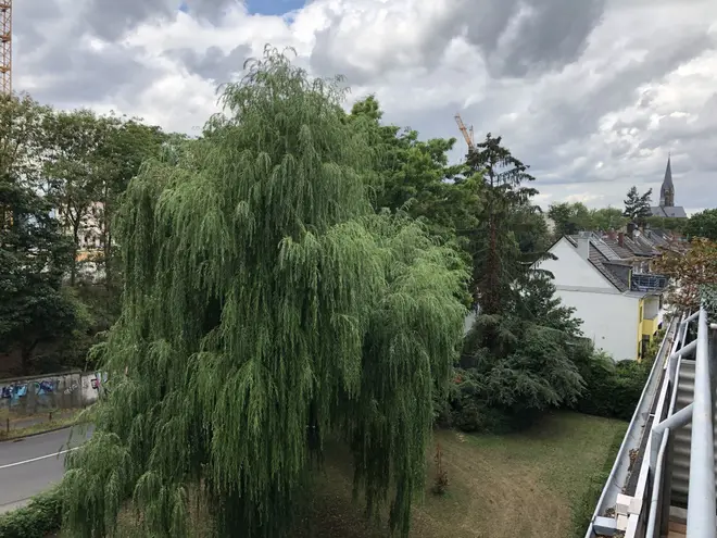 3 Zimmer Wohnung mit 85 m² in Bonn – Bild 4