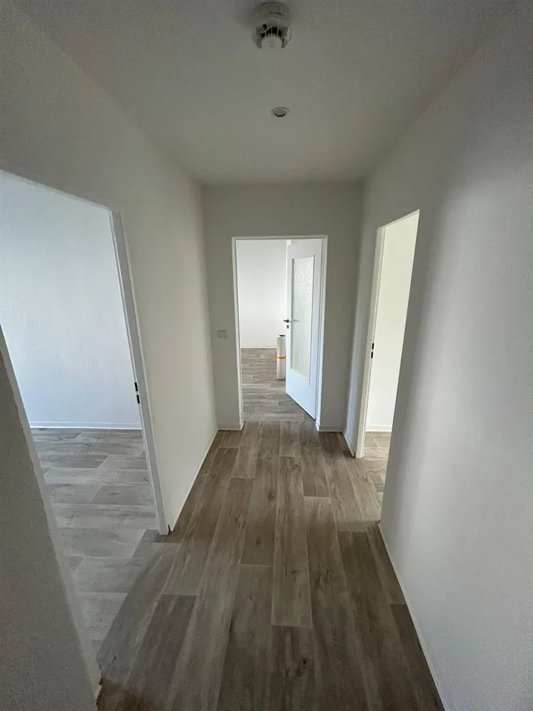 4 Zimmer Wohnung mit 73 m² in Chemnitz – Bild 7