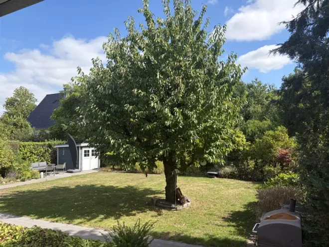 6 Zimmer Haus mit 210 m² in Münster – Bild 7