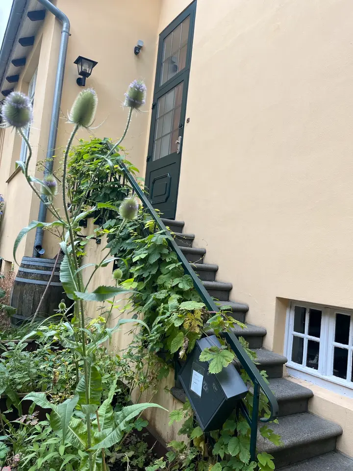 5 Zimmer Wohnung mit 150 m² in Celle – Bild 5