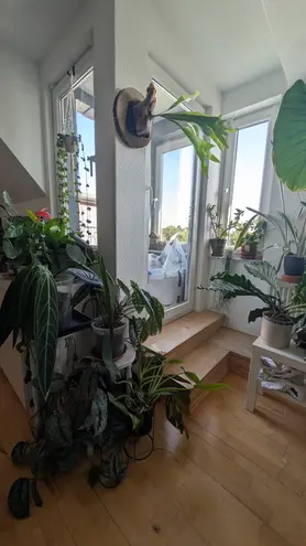 3 Zimmer Wohnung mit 60 m² in Köln – Bild 5