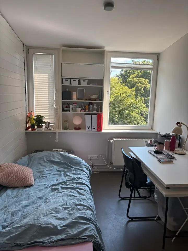 WG-Zimmer mit 10 m² in Potsdam – Bild 1