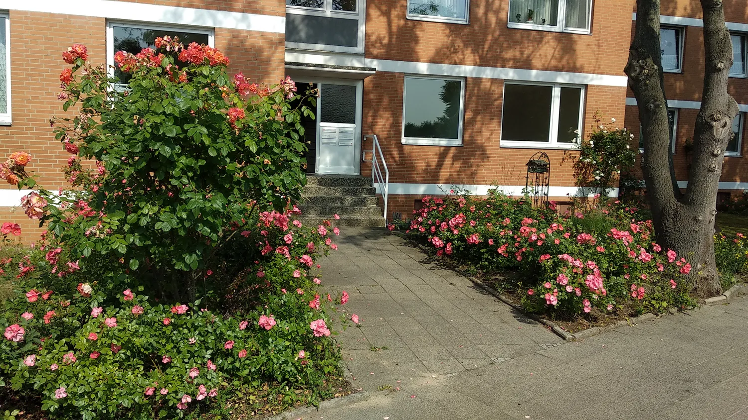 4 Zimmer Wohnung mit 87 m² in Hildesheim – Bild 1