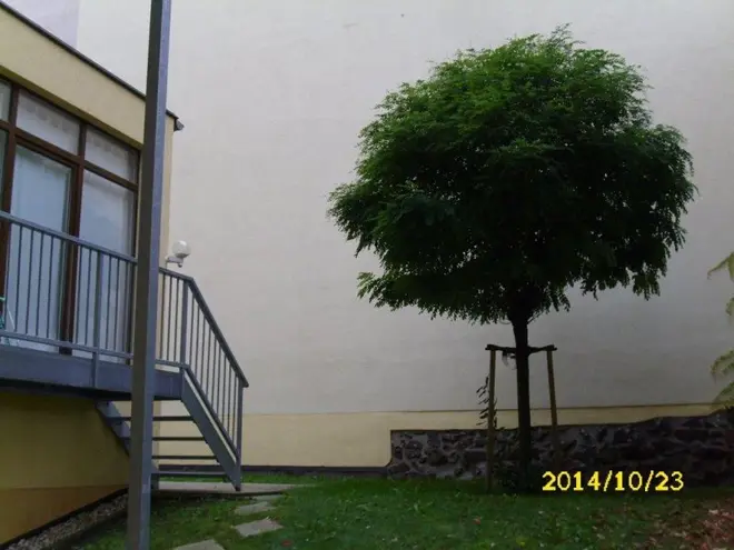 5 Zimmer Wohnung mit 153 m² in Halle (Saale) – Bild 4