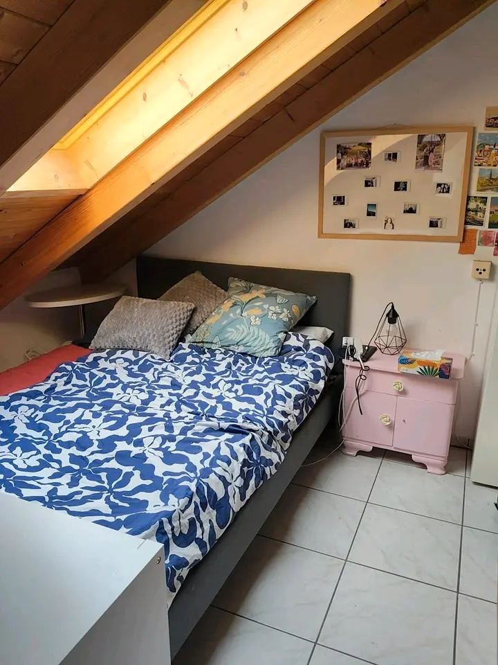 WG-Zimmer mit 100 m² in Waldshut-Tiengen – Bild 6