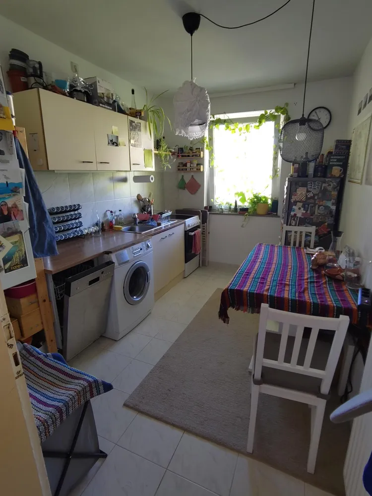 2 Zimmer Wohnung mit 50 m² in Mainz – Bild 1