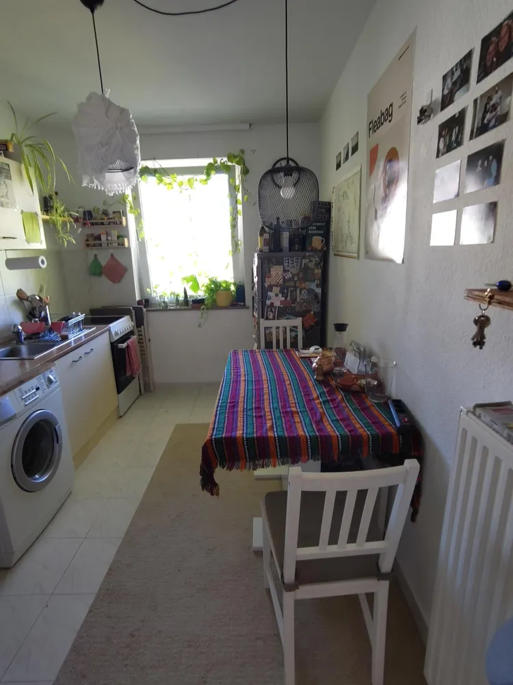 2 Zimmer Wohnung mit 50 m² in Mainz – Bild 3