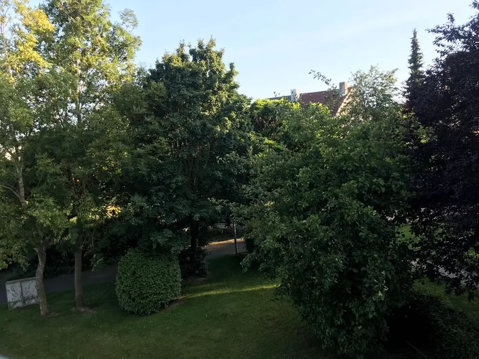 2 Zimmer Wohnung mit 23 m² in Bayreuth – Bild 6