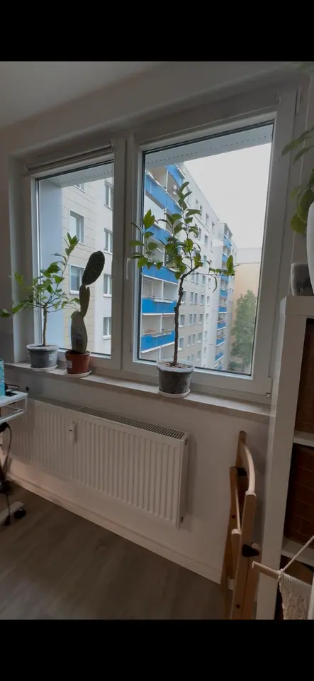Studio mit 27 m² in Berlin – Bild 3