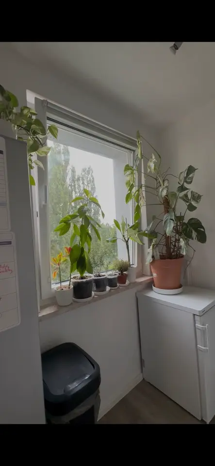 Studio mit 27 m² in Berlin – Bild 6