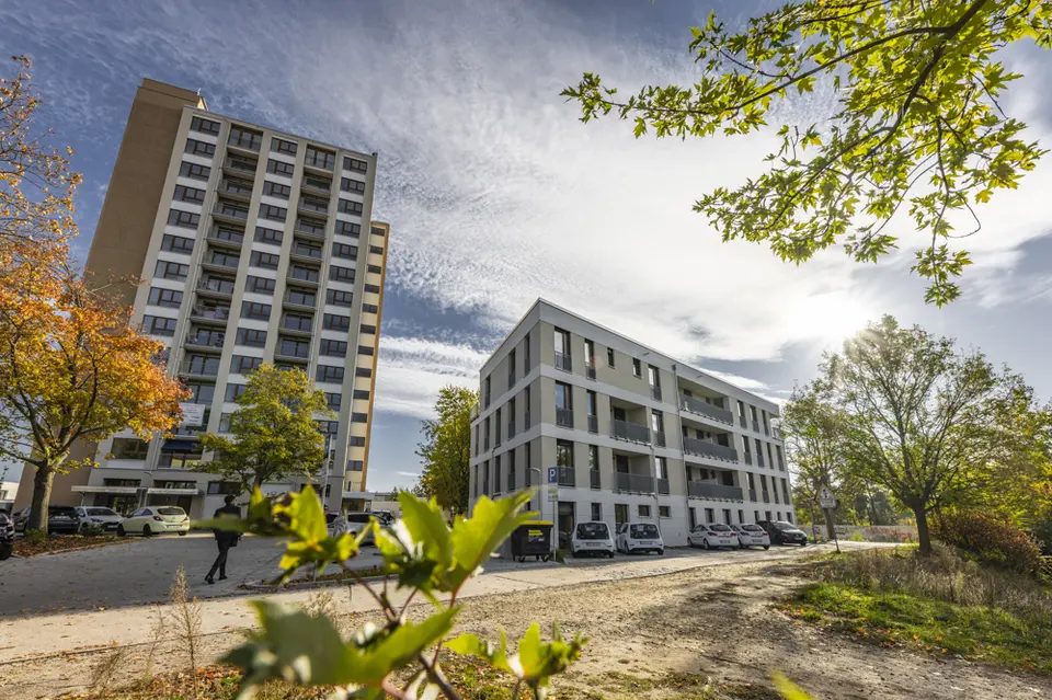 Studio mit 37 m² in Cottbus – Bild 6