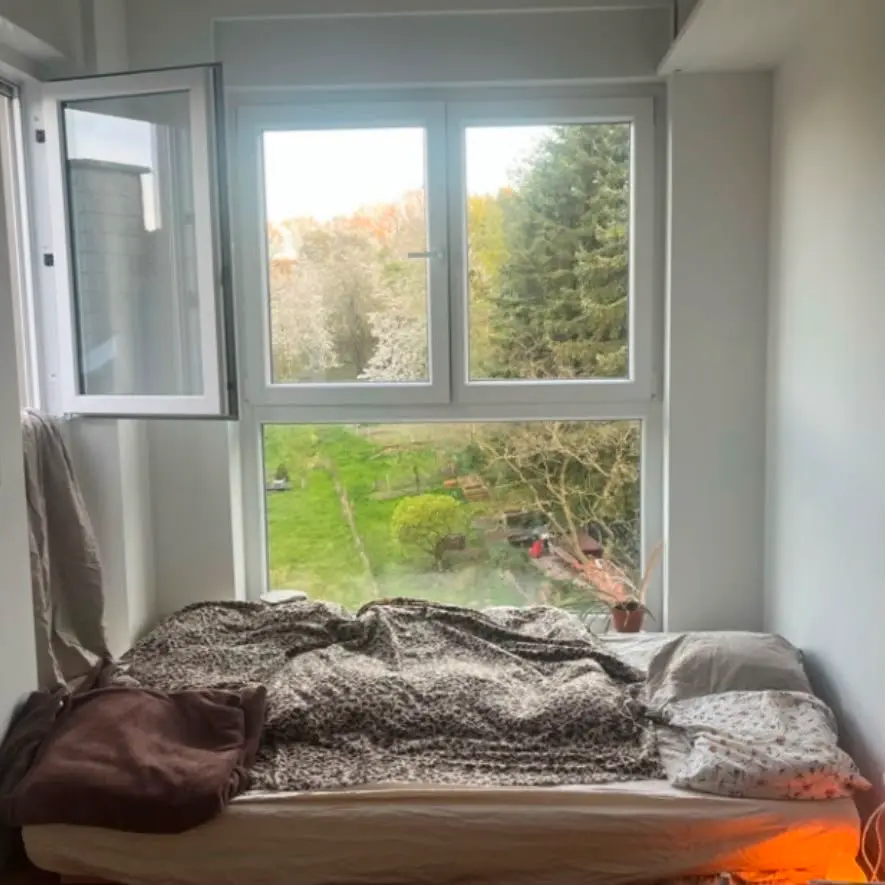 11 Zimmer Wohnung mit 220 m² in Bornheim – Bild 2