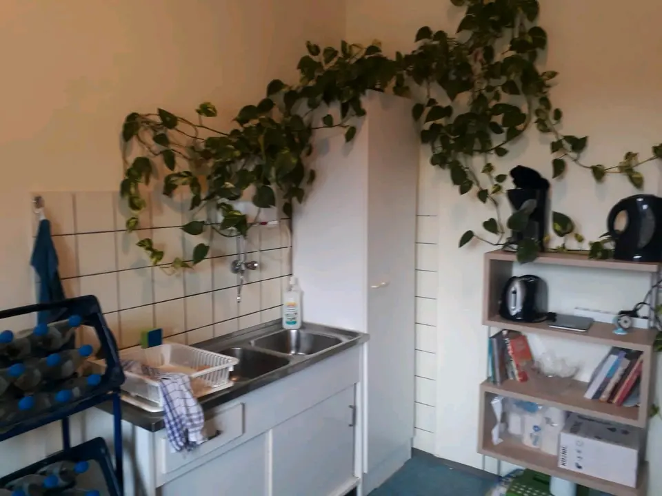 2 Zimmer Wohnung mit 50 m² in Ansbach – Bild 2