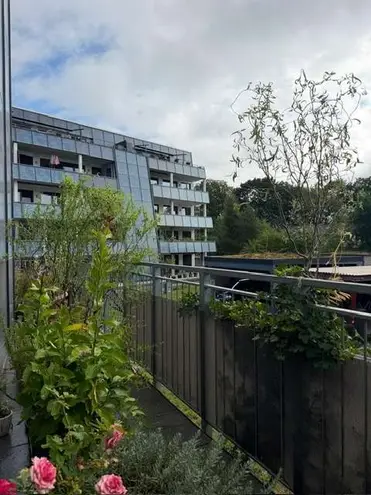 3 Zimmer Wohnung mit 81 m² in Chemnitz – Bild 2