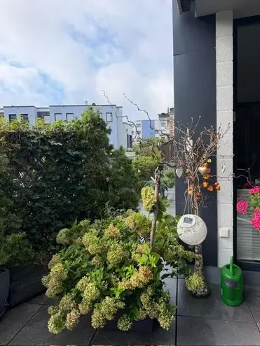 3 Zimmer Wohnung mit 81 m² in Chemnitz – Bild 5