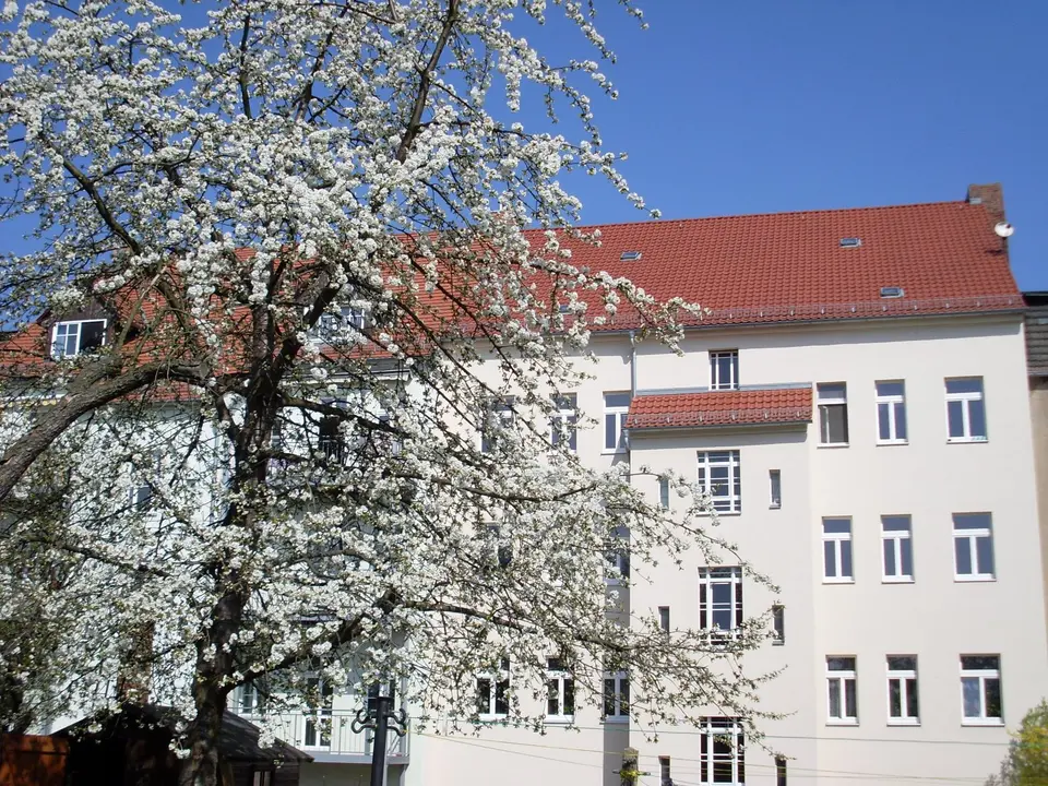 2 Zimmer Wohnung mit 38 m² in Görlitz – Bild 10