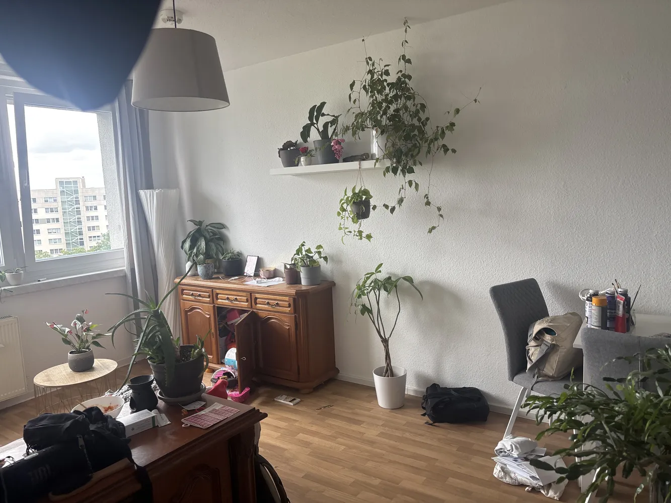 2 Zimmer Wohnung mit 48 m² in Dresden – Bild 1