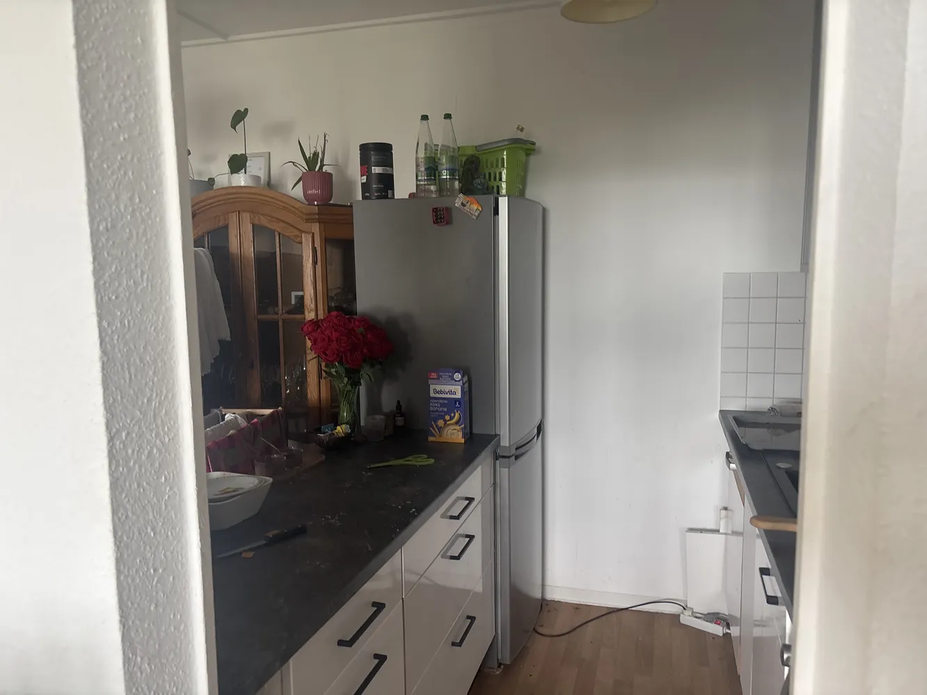 2 Zimmer Wohnung mit 48 m² in Dresden – Bild 2