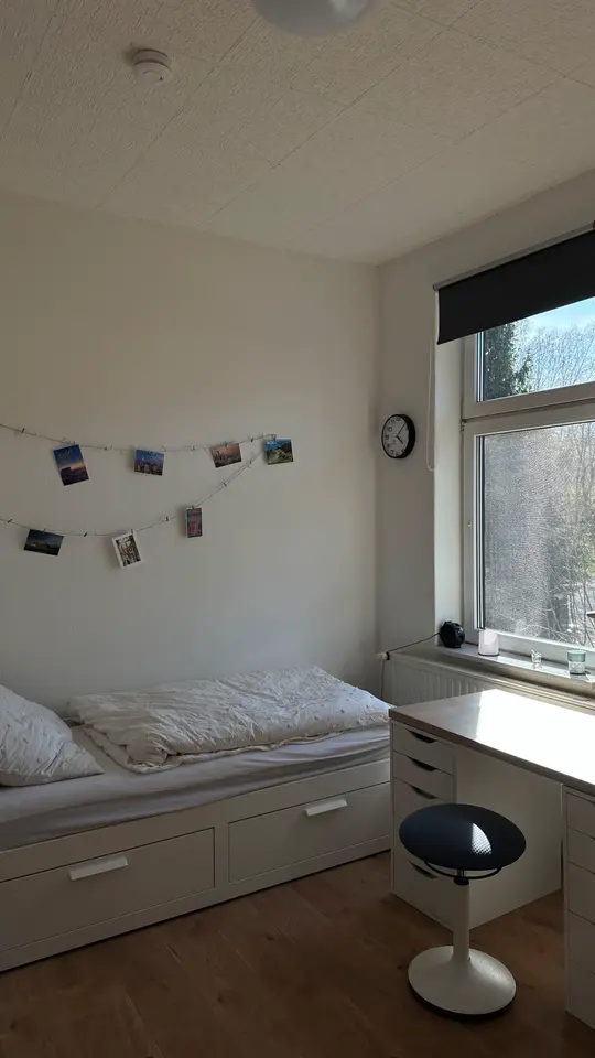 WG-Zimmer mit 11 m² in Wernigerode – Bild 4