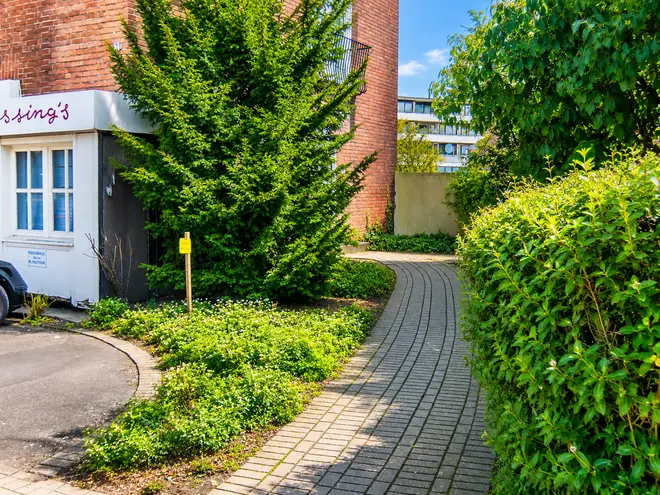 1 Zimmer Wohnung mit 47 m² in Krefeld – Bild 4