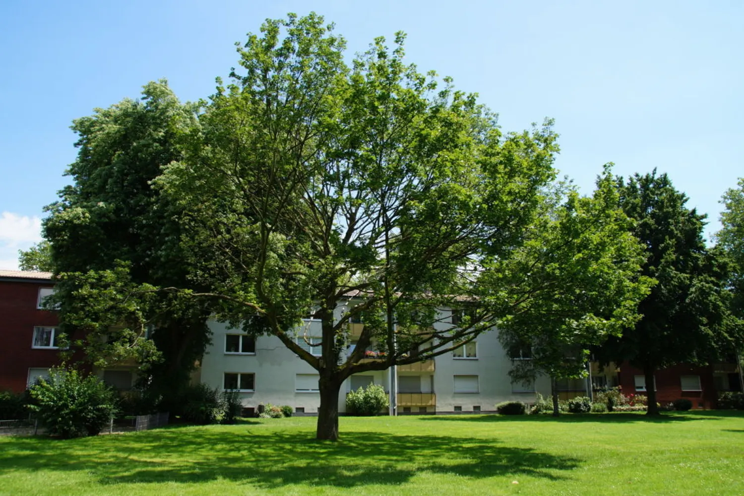 2 Zimmer Wohnung mit 54 m² in Duisburg – Bild 7