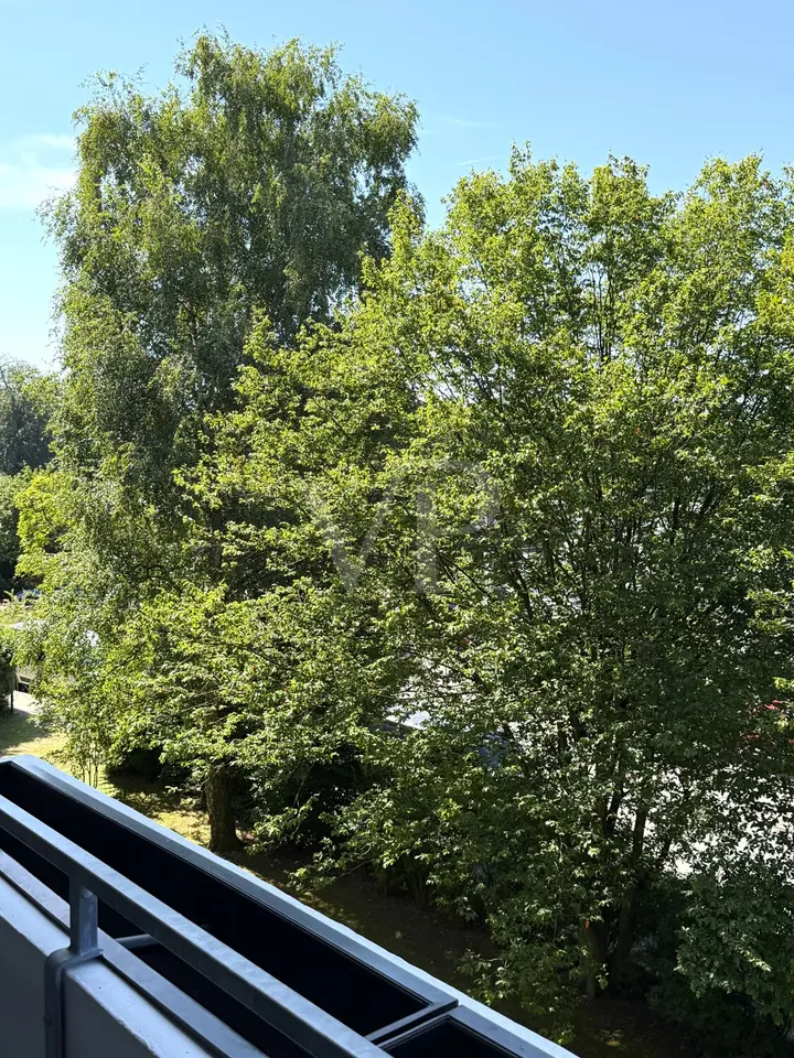 Studio mit 33 m² in Mörfelden-Walldorf – Bild 6
